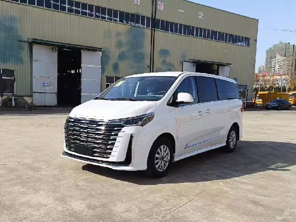 大通G10 自動擋檢測車（商務版）